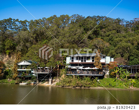 landscape of checheng timber pond, nantou, taiwan landscape of checheng timber pond, nantou, taiwan 81920423