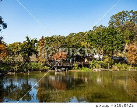landscape of checheng timber pond, nantou, taiwan landscape of checheng timber pond, nantou, taiwan 81920425