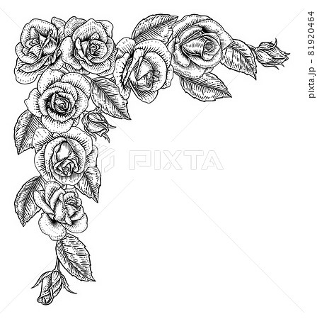 Rose Flower Border Woodcut Vintage Corner Frame 81920464
