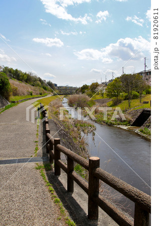 三田市けやき台　平谷大橋を背にウッディタウン方向の平谷川沿い散策路を望む　縦方向 81920611
