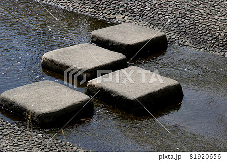 三田市けやき台　平谷大橋を背にウッディタウン方向の平谷川沿い散策路の渡石　アップ 81920656