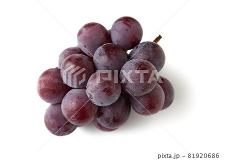種なし巨峰（福岡県産）　白バック　白背景 81920686