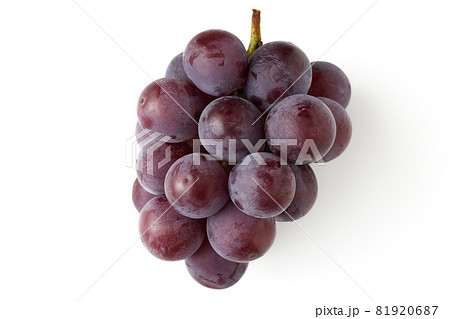 種なし巨峰（福岡県産）　白バック　白背景 81920687