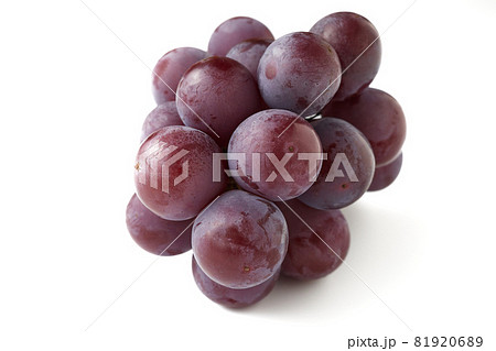 種なし巨峰（福岡県産）　白バック　白背景 81920689