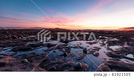 Botanical Beach on the West Coast of Pacific Ocean. 81921505