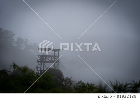 Military Wooden watch tower in the jungle surrounded by mystic fog. Dangerous concept Military Wooden watch tower in the jungle surrounded by mystic fog. Dangerous concept 81922139