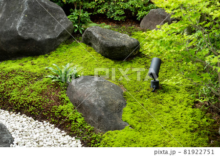 苔と自然石がある和風の庭 81922751