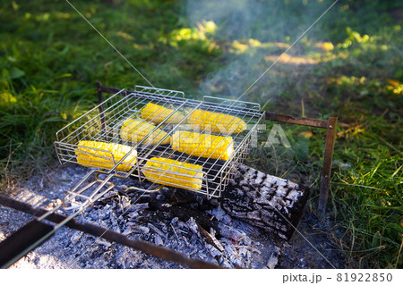 Fried corncobs of yellow juicy corn cooked on a wire rack. Outdoor recreation. 81922850