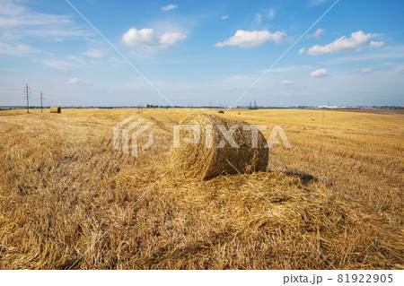 Straw bales on farmland with blue beautiful sky with clouds. Straw bales on farmland with blue beautiful sky with clouds. 81922905