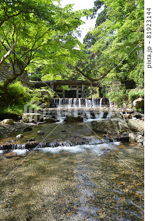 日吉大社　大宮川　滋賀県大津市坂本 81923144