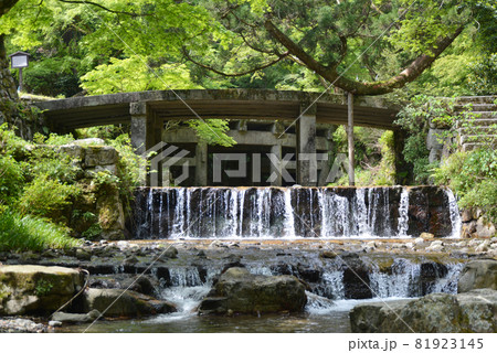 日吉大社 大宮川と走井橋 滋賀県大津市坂本 日吉大社 大宮川と走井橋 滋賀県大津市坂本 81923145