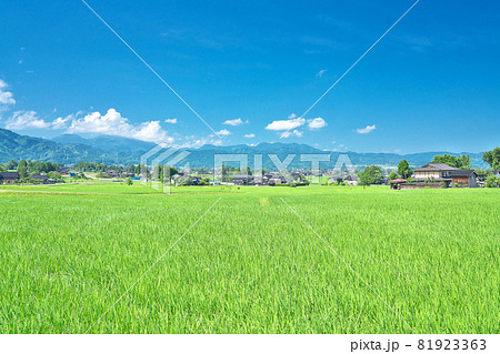 【砺波平野 散居村の風景】 富山県 砺波市 南砺市 81923363