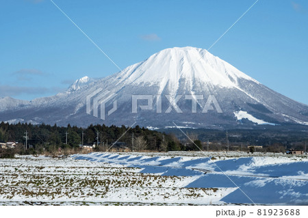 大山の雪景色 大山の雪景色 81923688
