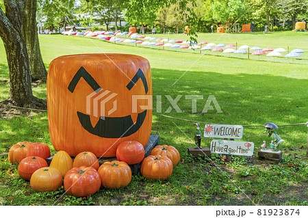 秋の公園とかぼちゃのモニュメント　ハロウィン　宮城県加美町 81923874