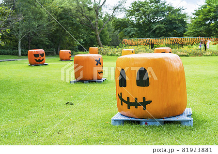 秋の公園とかぼちゃのモニュメント　ハロウィン　宮城県加美町 81923881