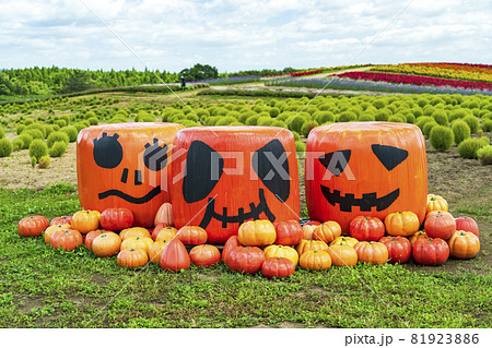 秋の公園とかぼちゃのモニュメント ハロウィン 宮城県加美町 秋の公園とかぼちゃのモニュメント ハロウィン 宮城県加美町 81923886