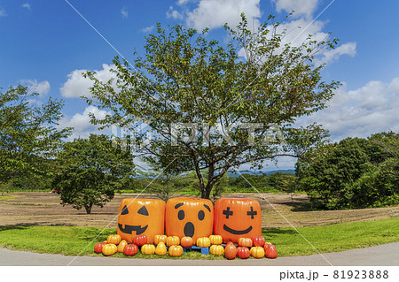 秋の公園とかぼちゃのモニュメント ハロウィン 宮城県加美町 秋の公園とかぼちゃのモニュメント ハロウィン 宮城県加美町 81923888