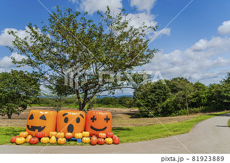 秋の公園とかぼちゃのモニュメント ハロウィン 宮城県加美町 秋の公園とかぼちゃのモニュメント ハロウィン 宮城県加美町 81923889