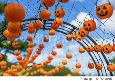 秋の公園とかぼちゃのモニュメント　ハロウィン　宮城県加美町 81923896