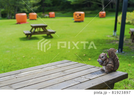 秋の公園とかぼちゃのモニュメント　ハロウィン　宮城県加美町 81923897
