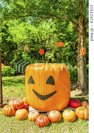 秋の公園とかぼちゃのモニュメント　ハロウィン　宮城県加美町 81923915