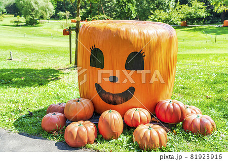 秋の公園とかぼちゃのモニュメント ハロウィン 宮城県加美町の写真素材 秋の公園とかぼちゃのモニュメント ハロウィン 宮城県加美町の写真素材