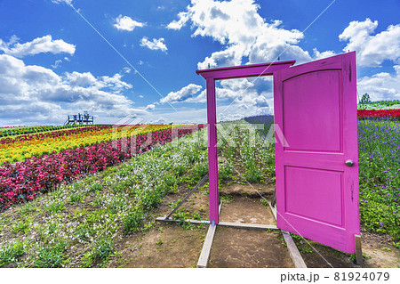 秋の公園と花畑 ピンクのドア 宮城県加美町の写真素材
