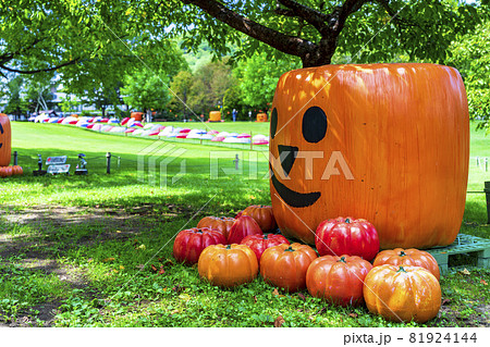 秋の公園とかぼちゃのモニュメント ハロウィン 宮城県加美町の写真素材 秋の公園とかぼちゃのモニュメント ハロウィン 宮城県加美町の写真素材