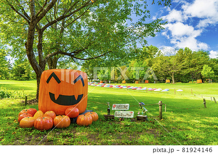 秋の公園とかぼちゃのモニュメント ハロウィン 宮城県加美町 秋の公園とかぼちゃのモニュメント ハロウィン 宮城県加美町 81924146