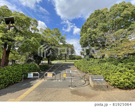奈川県高座郡寒川町宮山　さむかわ中央公園　夏 81925064
