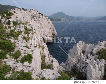 美しい海岸線　白崎海洋公園 81925186