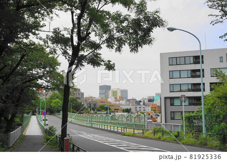 9月 港区580青山橋・南青山 9月 港区580青山橋・南青山 81925336