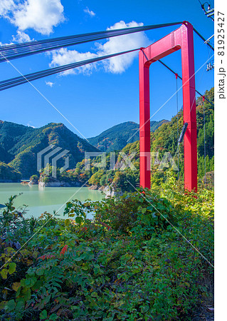神流湖湖畔　金毘羅橋　秋の風景　紅葉の季節　　 81925427