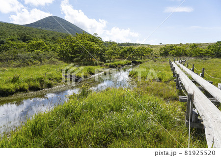 万緑の栃木県那須塩原市沼っ原湿原の風景 81925520