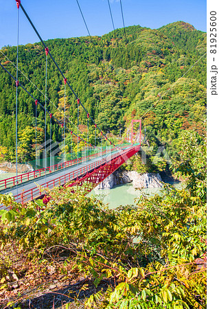 神流湖湖畔　金毘羅橋　秋の風景　紅葉の季節　　 81925600