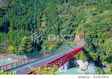 神流湖湖畔　金毘羅橋　秋の風景　紅葉の季節　　 81925601