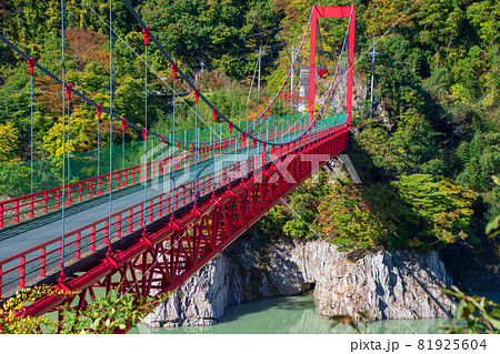 神流湖湖畔　金毘羅橋　秋の風景　紅葉の季節　　 81925604