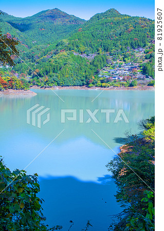 神流湖 湖畔 金毘羅橋付近からの景色 秋の風景 紅葉の季節 神流湖 湖畔 金毘羅橋付近からの景色 秋の風景 紅葉の季節 81925607