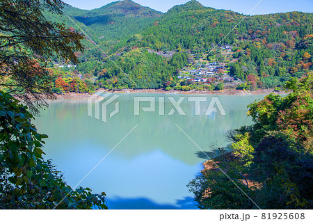 神流湖　湖畔　金毘羅橋付近からの景色　秋の風景　紅葉の季節　　 81925608