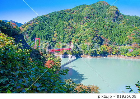 神流湖　湖畔　金毘羅橋付近からの景色　秋の風景　紅葉の季節　　 81925609