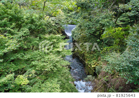 長田峡 R3夏 長田峡 R3夏 81925643