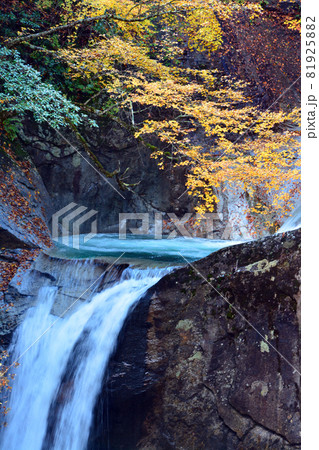 西沢渓谷～清らかな渓流と荘厳な滝 81925882