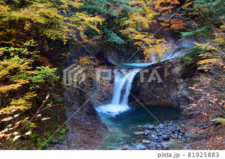 西沢渓谷～清らかな渓流と荘厳な滝 81925883