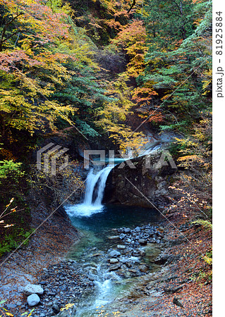 西沢渓谷～清らかな渓流と荘厳な滝の写真素材 [81925884] - PIXTA