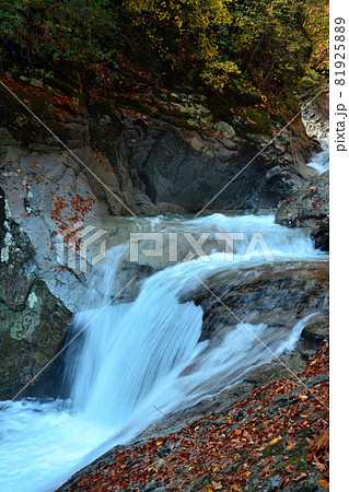 西沢渓谷~清らかな渓流と荘厳な滝 西沢渓谷~清らかな渓流と荘厳な滝 81925889