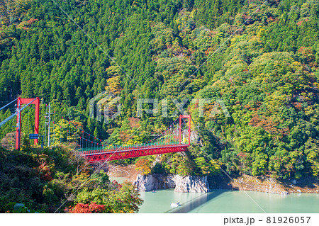 神流湖湖畔 金毘羅橋 秋の風景 紅葉の季節   神流湖湖畔 金毘羅橋 秋の風景 紅葉の季節   81926057