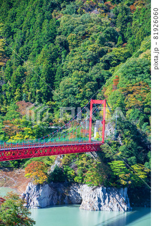 神流湖湖畔　金毘羅橋　秋の風景　紅葉の季節　　 81926060
