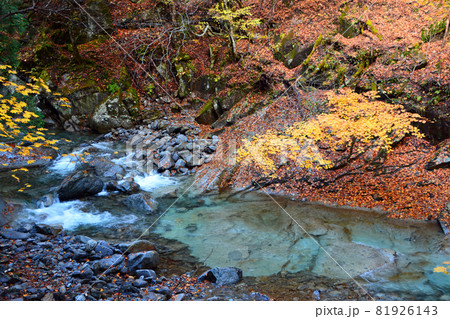 西沢渓谷～清らかな渓流と荘厳な滝の写真素材 [81926143] - PIXTA