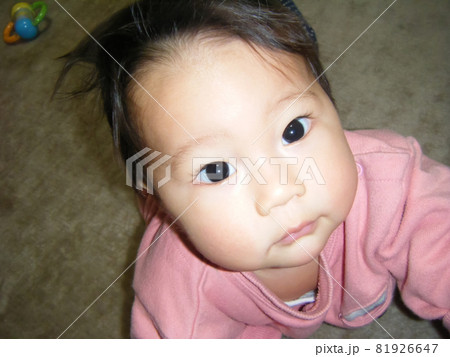 生後8ヶ月の赤ちゃんの写真素材 生後8ヶ月の赤ちゃんの写真素材
