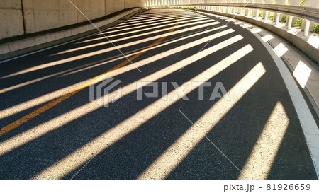 光と影のストライプ 光と影のストライプ 81926659